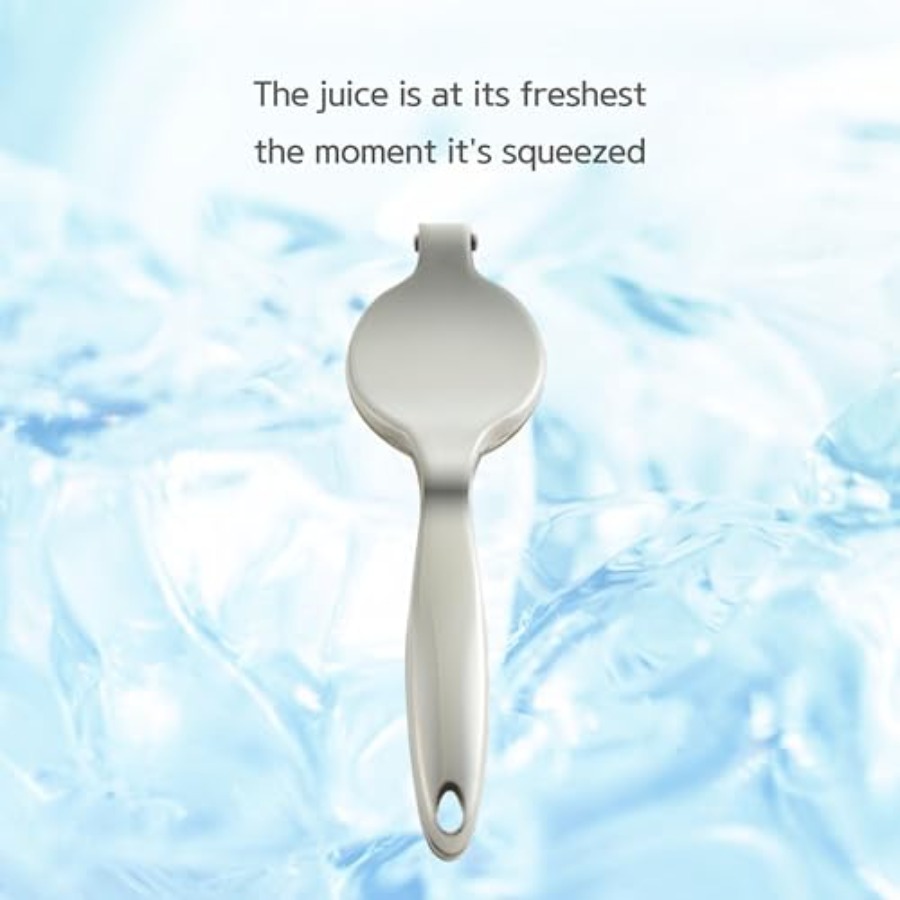Lemon Squeezer 304 Stainless S - Citrus Juicer Bar avis et prix